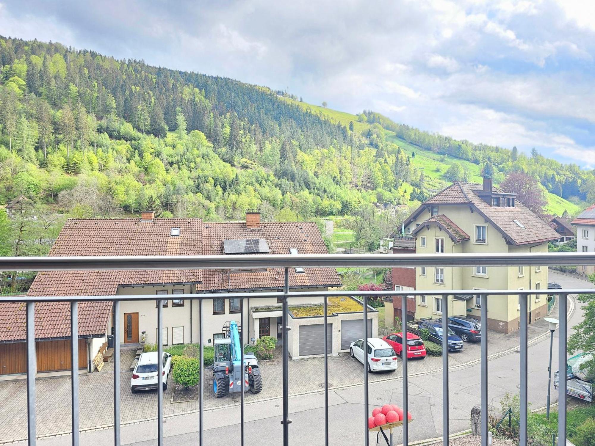 Black Forest II Sauna I Boxspring I Nespresso I Ausblick I Wasserfaelle Im Ort Тодтнау Екстер'єр фото
