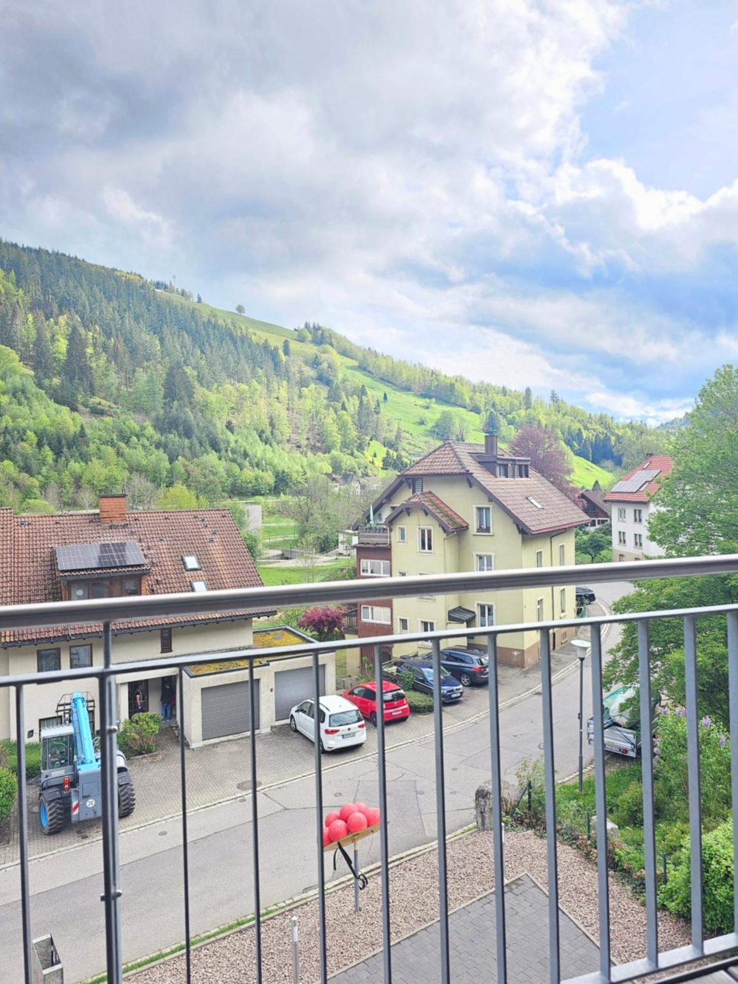 Black Forest II Sauna I Boxspring I Nespresso I Ausblick I Wasserfaelle Im Ort Тодтнау Екстер'єр фото